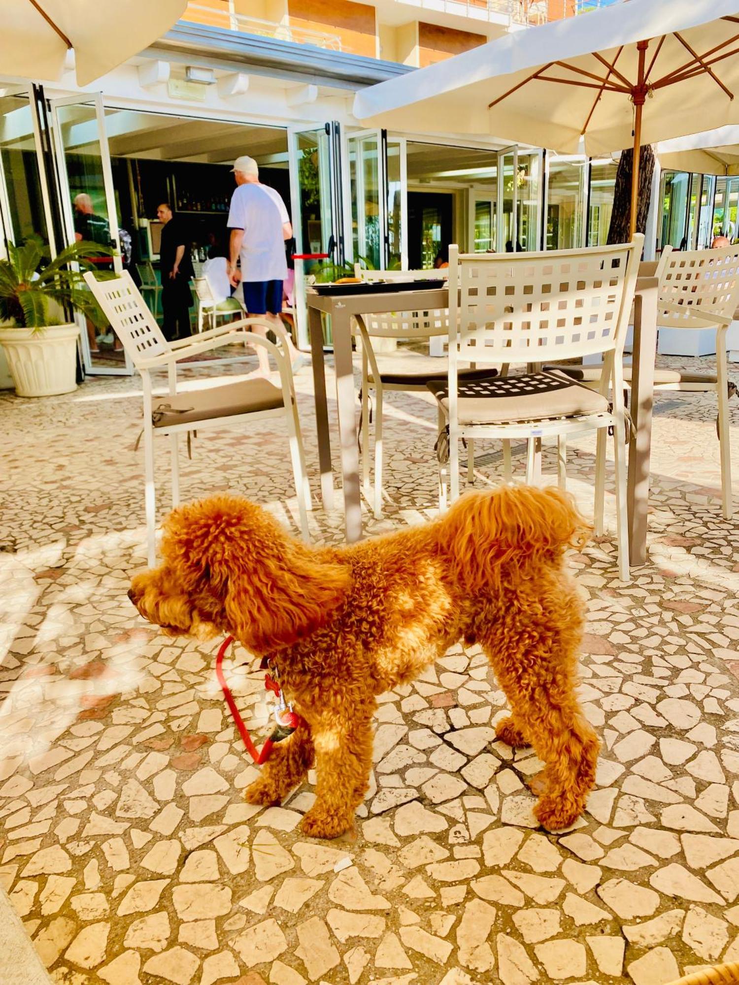 Hotel Franca 米兰马瑞提那 外观 照片
